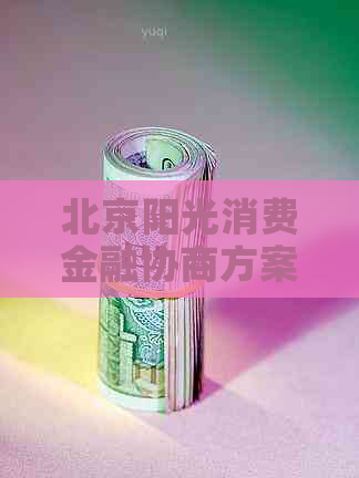 北京阳光消费金融协商方案解读