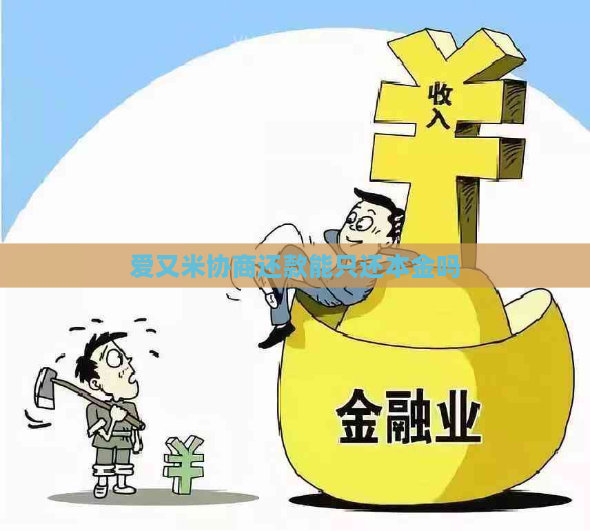 爱又米协商还款能只还本金吗