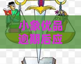 小象优品逾期后应该怎么办