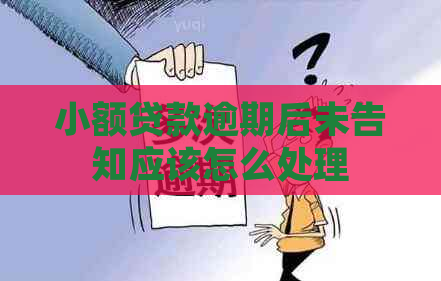 小额贷款逾期后未告知应该怎么处理