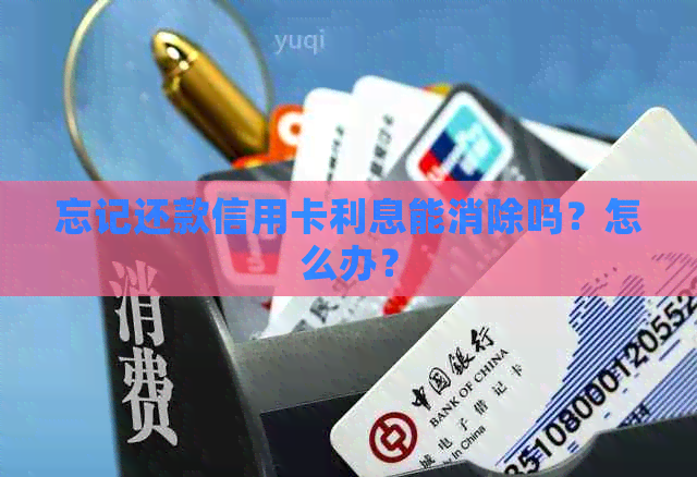 忘记还款信用卡利息能消除吗？怎么办？