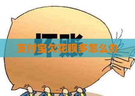 支付宝欠花呗多怎么办