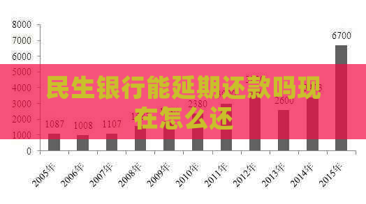 民生银行能延期还款吗现在怎么还