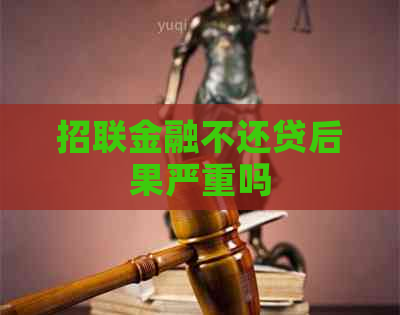 招联金融不还贷后果严重吗