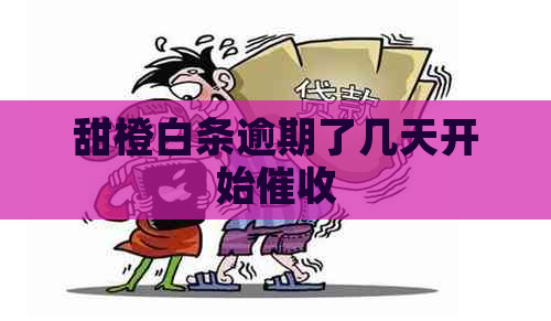 甜橙白条逾期了几天开始