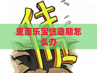 里面乐宝贷逾期怎么办