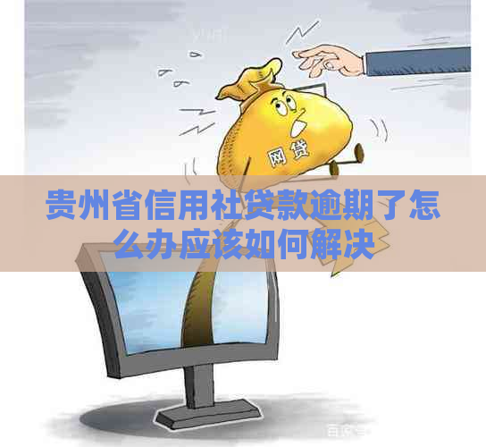 贵州省信用社贷款逾期了怎么办应该如何解决