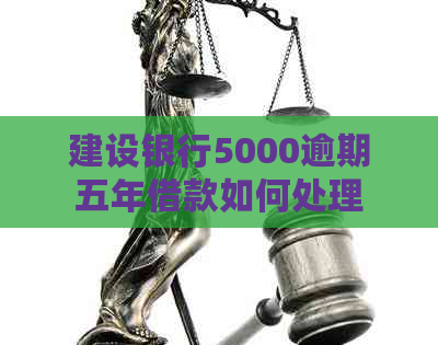 建设银行5000逾期五年借款如何处理