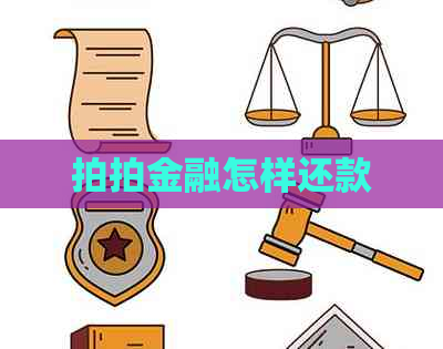 拍拍金融怎样还款