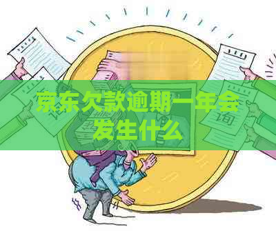 京东欠款逾期一年会发生什么