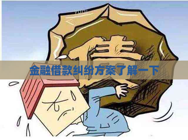 金融借款纠纷方案了解一下