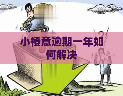 小橙意逾期一年如何解决