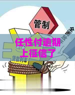 任性付逾期上了