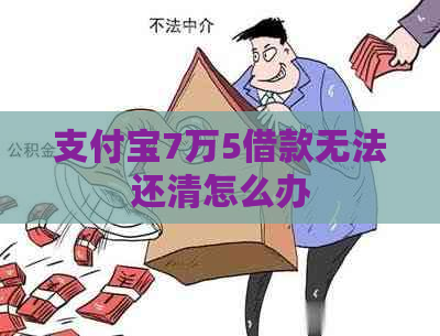 支付宝7万5借款无法还清怎么办