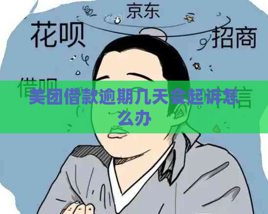 美团借款逾期几天会起诉怎么办