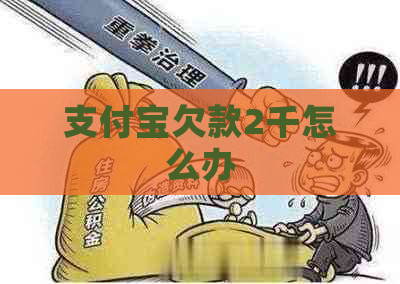 支付宝欠款2千怎么办