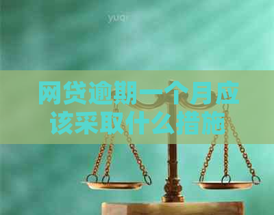 网贷逾期一个月应该采取什么措施