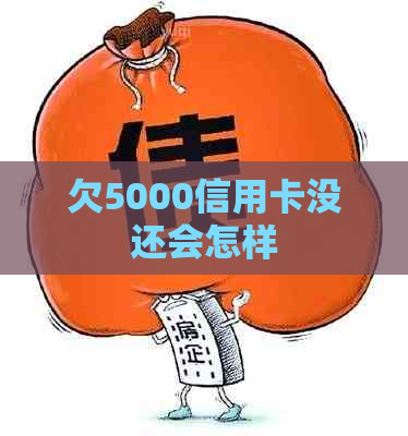 欠5000信用卡没还会怎样