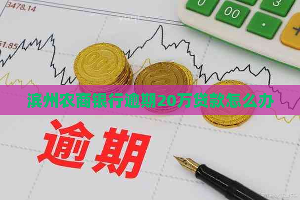 滨州农商银行逾期20万贷款怎么办