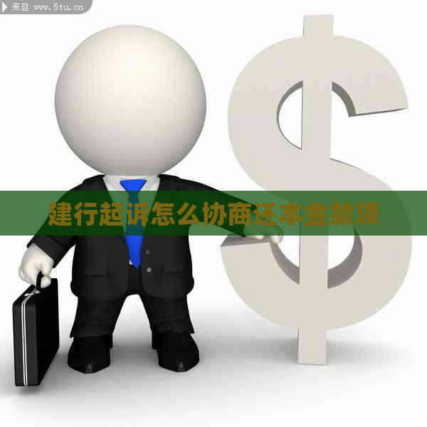 建行起诉怎么协商还本金款项