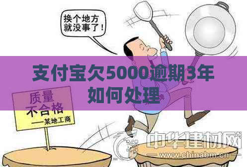 支付宝欠5000逾期3年如何处理