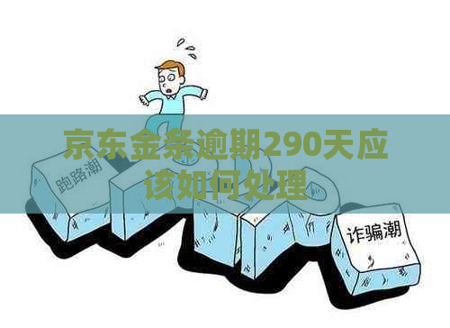 京东金条逾期290天应该如何处理