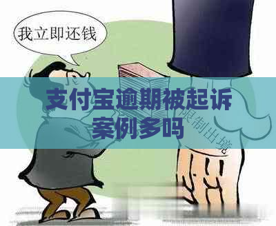 支付宝逾期被起诉案例多吗