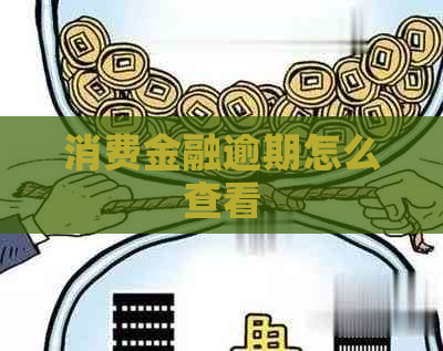 消费金融逾期怎么查看