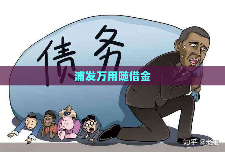 浦发万用随借金