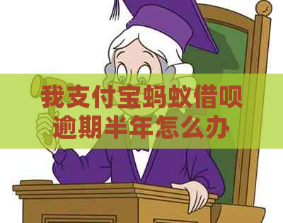 我支付宝蚂蚁借呗逾期半年怎么办