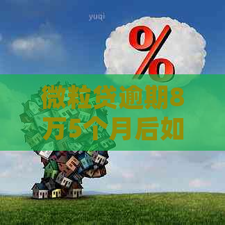 微粒贷逾期8万5个月后如何处理