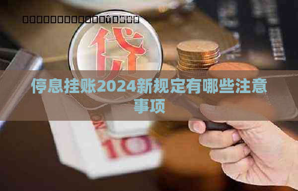 停息挂账2024新规定有哪些注意事项