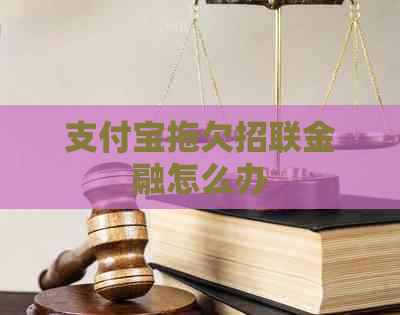 支付宝拖欠招联金融怎么办