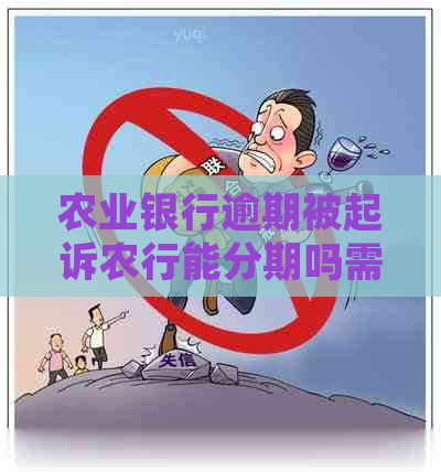 农业银行逾期被起诉农行能分期吗需要注意什么