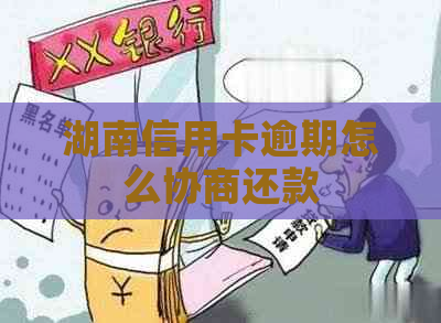 湖南信用卡逾期怎么协商还款