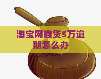 淘宝网商贷5万逾期怎么办