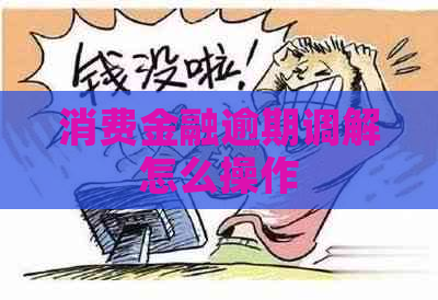 消费金融逾期调解怎么操作