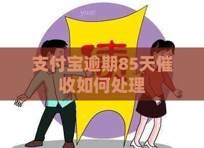 支付宝逾期85天如何处理