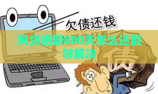 网贷逾期800天怎么还能够解决