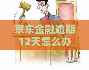 京东金融逾期12天怎么办