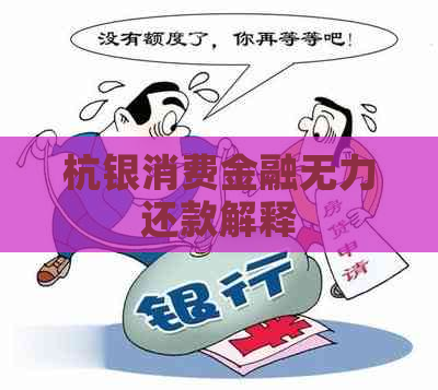 杭银消费金融无力还款解释