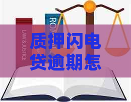 质押闪电贷逾期怎么收费的规则是什么