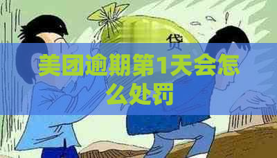 美团逾期第1天会怎么处罚