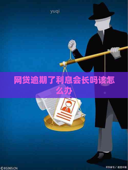 网贷逾期了利息会长吗该怎么办