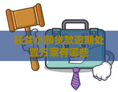 扶贫小额贷款逾期处置方案有哪些