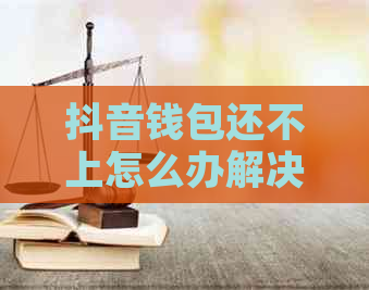 抖音钱包还不上怎么办解决方法有哪些