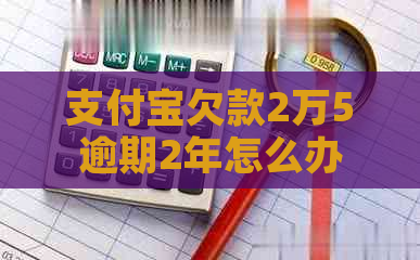 支付宝欠款2万5逾期2年怎么办