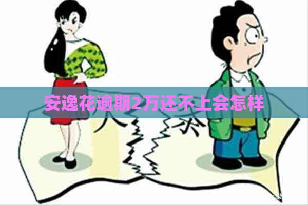 安逸花逾期2万还不上会怎样