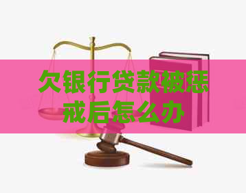 欠银行贷款被惩戒后怎么办