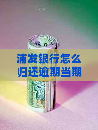 浦发银行怎么归还逾期当期贷款